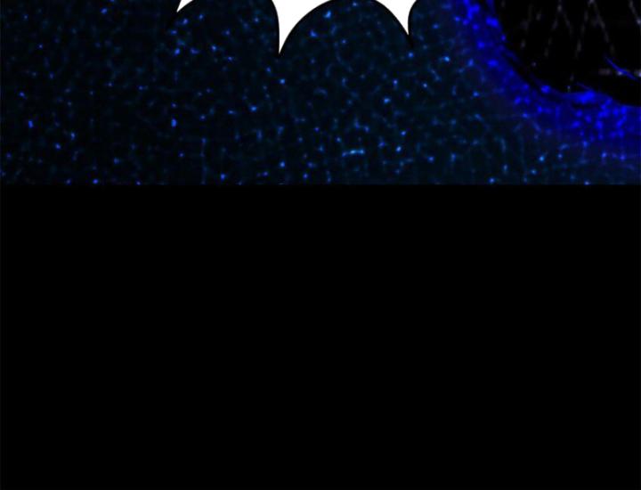 Xuân Thu Bá Đồ Chapter 272 - Trang 2