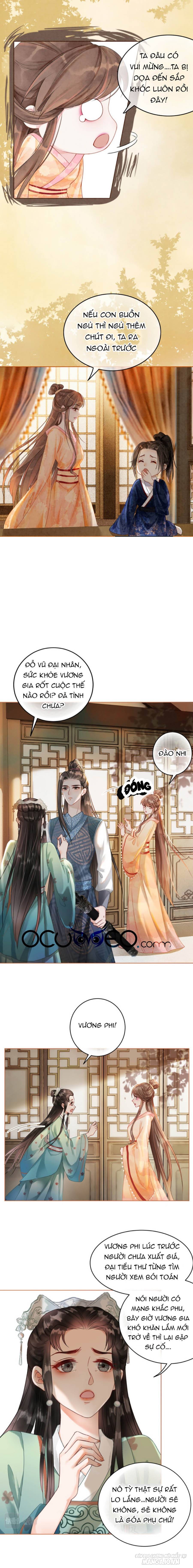 Xung Hỉ Vương Phi Chapter 18 - Trang 2