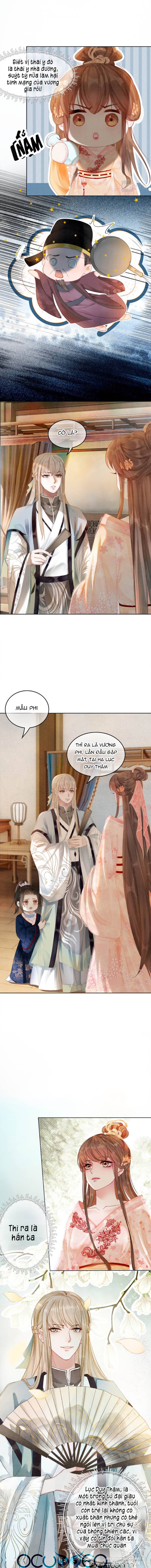 Xung Hỉ Vương Phi Chapter 19 - Trang 2