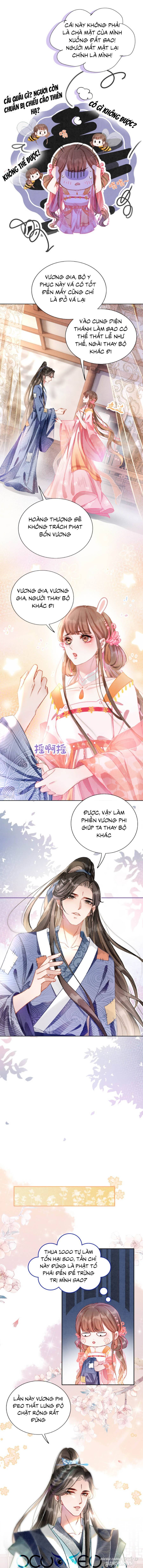 Xung Hỉ Vương Phi Chapter 8 - Trang 2