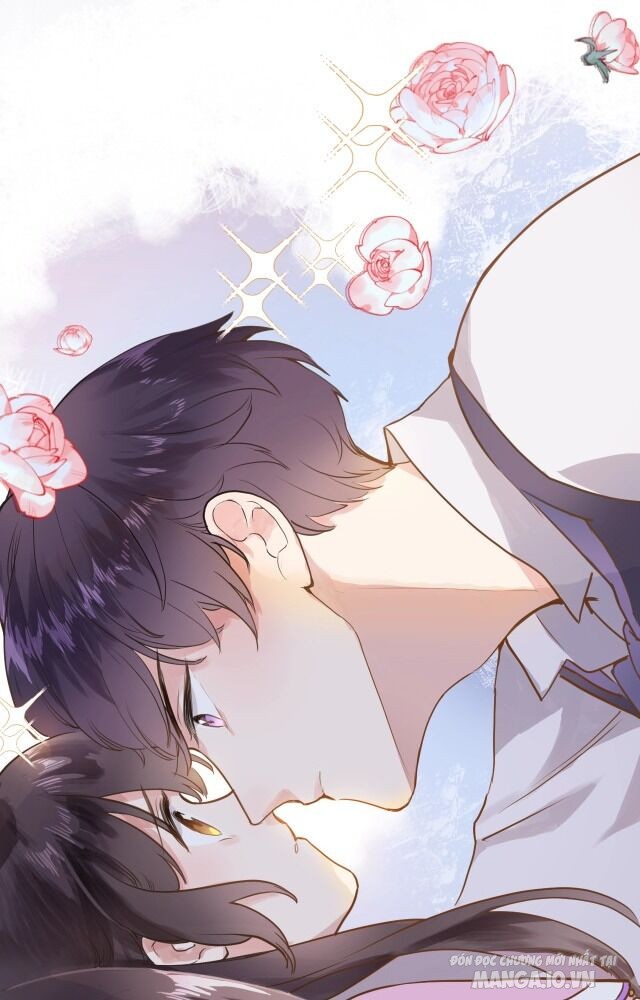 Xuyên Hành Thế Giới Chi Hoa Chapter 1 - Trang 2