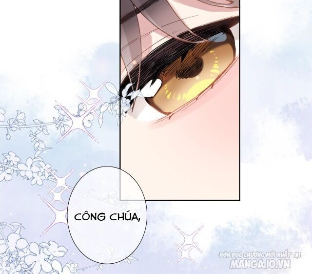 Xuyên Hành Thế Giới Chi Hoa Chapter 1 - Trang 2