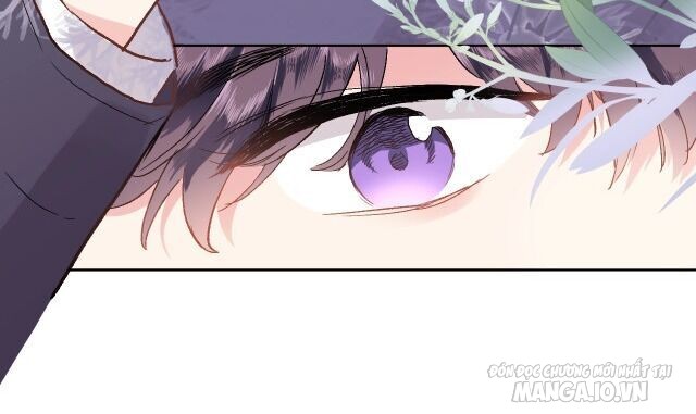 Xuyên Hành Thế Giới Chi Hoa Chapter 1 - Trang 2