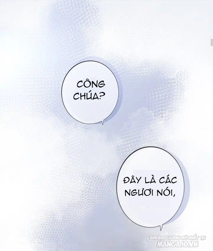 Xuyên Hành Thế Giới Chi Hoa Chapter 2 - Trang 2