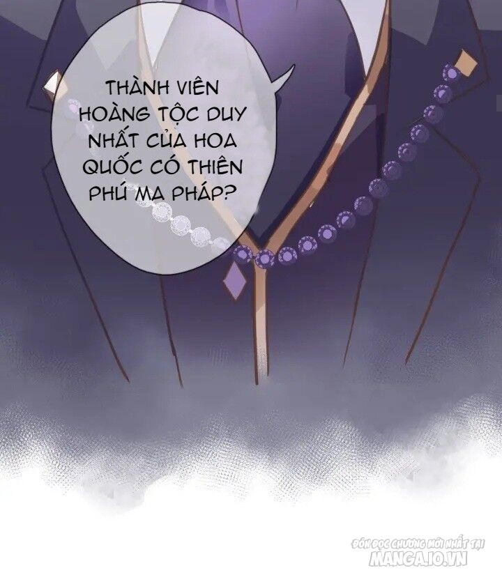 Xuyên Hành Thế Giới Chi Hoa Chapter 2 - Trang 2