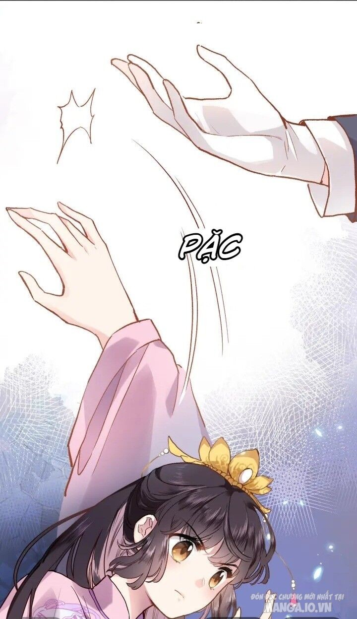 Xuyên Hành Thế Giới Chi Hoa Chapter 2 - Trang 2