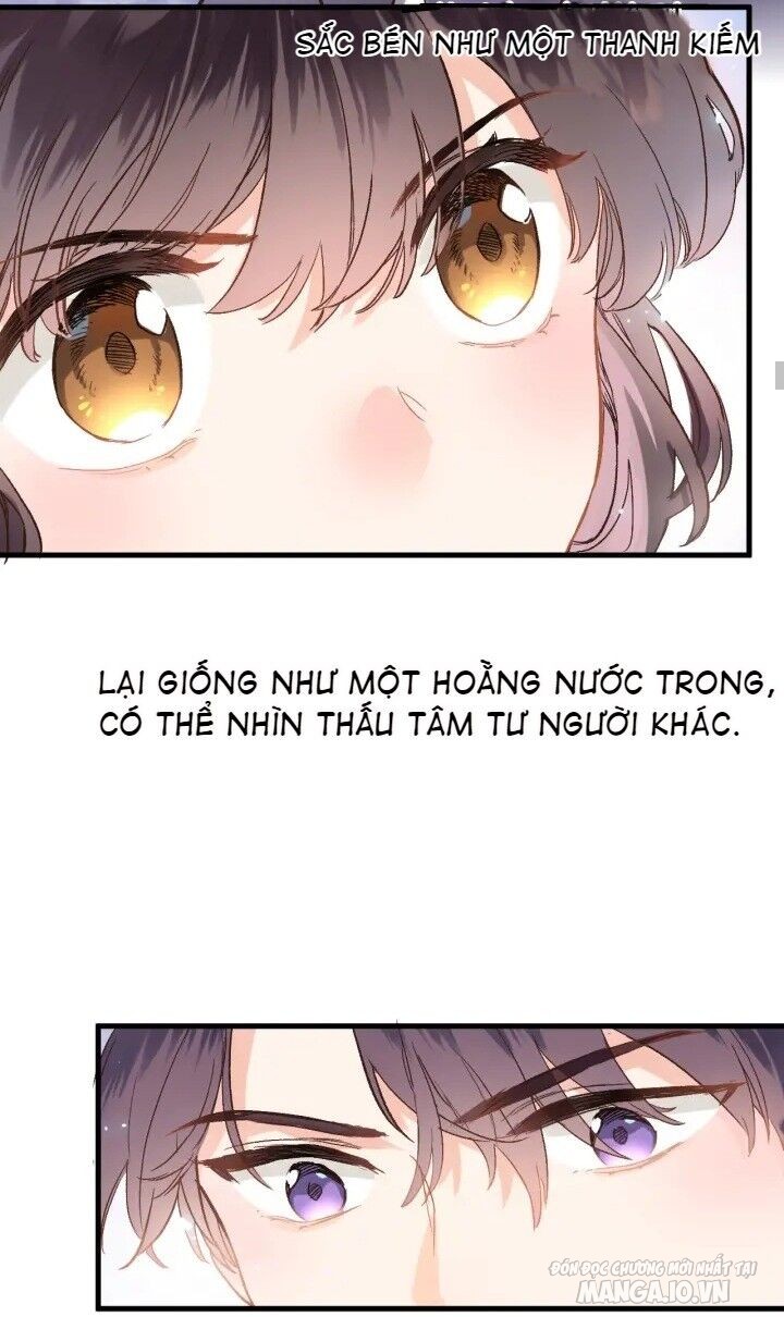 Xuyên Hành Thế Giới Chi Hoa Chapter 2 - Trang 2
