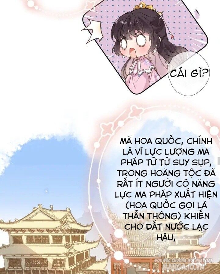 Xuyên Hành Thế Giới Chi Hoa Chapter 2 - Trang 2