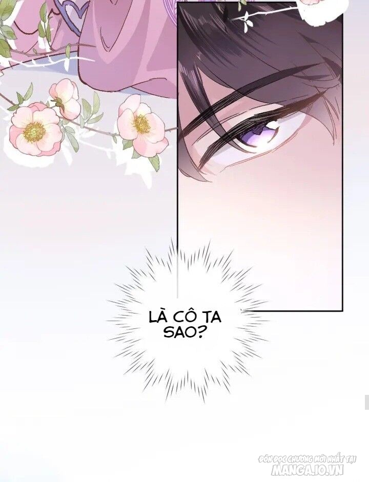 Xuyên Hành Thế Giới Chi Hoa Chapter 2 - Trang 2