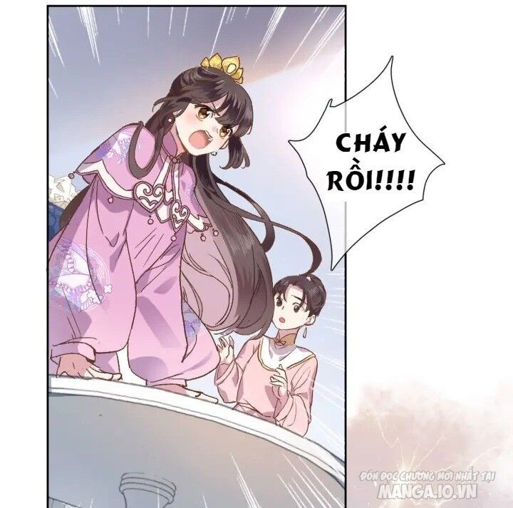 Xuyên Hành Thế Giới Chi Hoa Chapter 2 - Trang 2