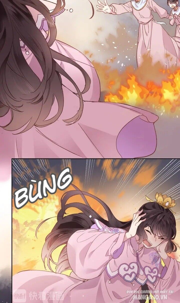 Xuyên Hành Thế Giới Chi Hoa Chapter 2 - Trang 2