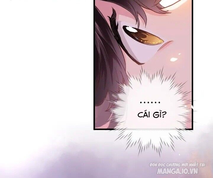 Xuyên Hành Thế Giới Chi Hoa Chapter 3 - Trang 2