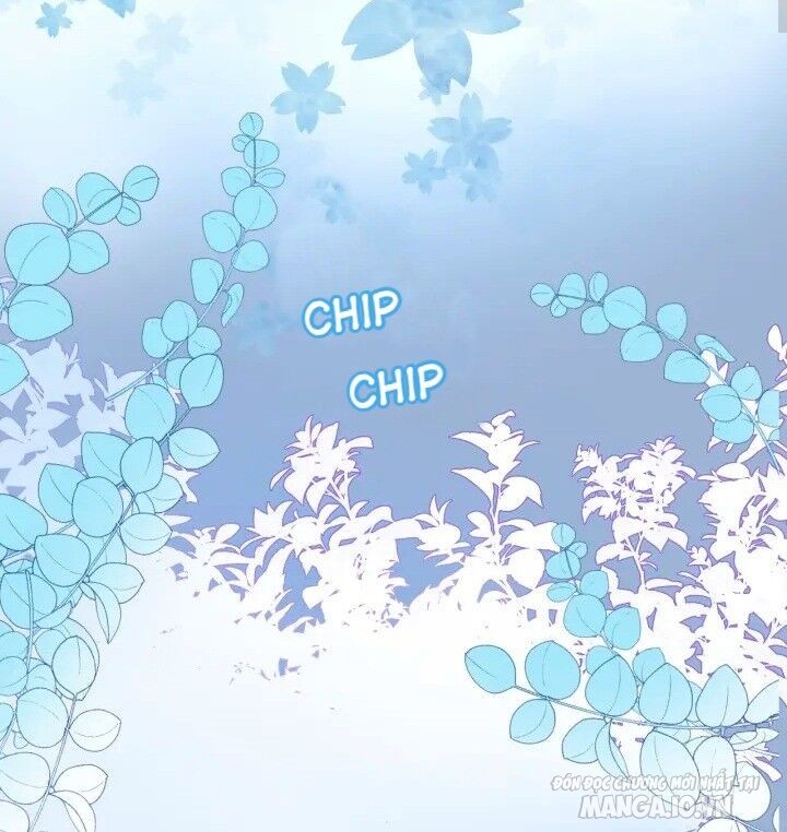 Xuyên Hành Thế Giới Chi Hoa Chapter 3 - Trang 2