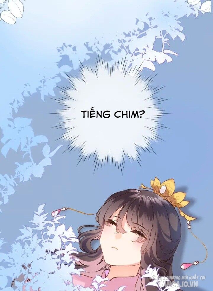 Xuyên Hành Thế Giới Chi Hoa Chapter 3 - Trang 2