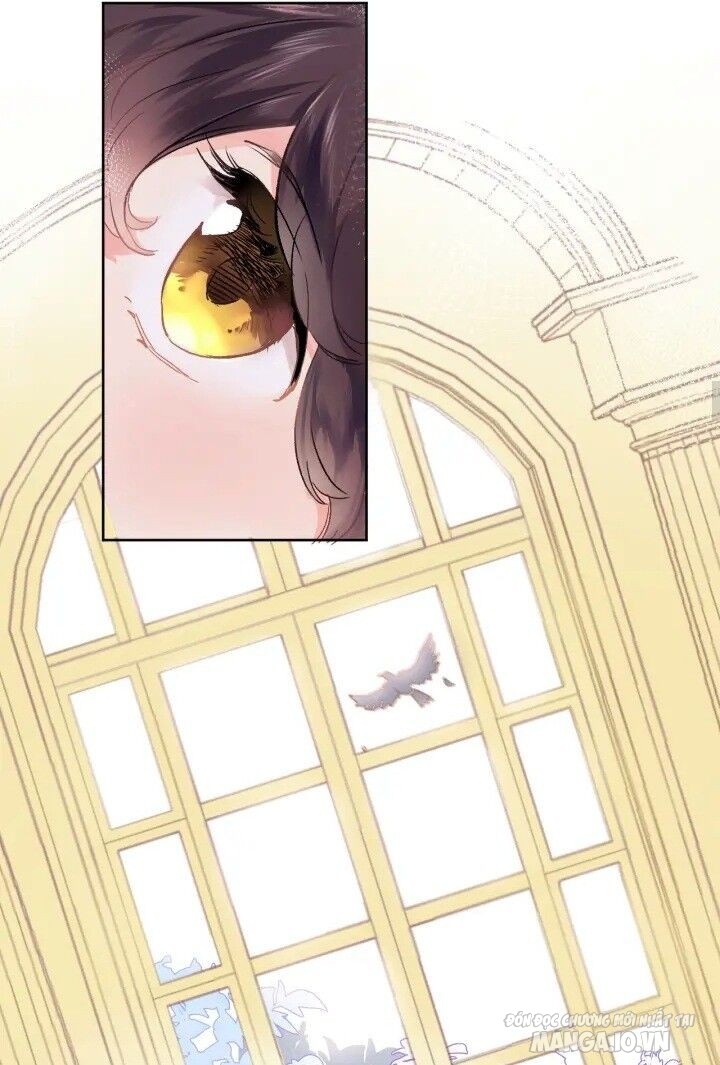 Xuyên Hành Thế Giới Chi Hoa Chapter 3 - Trang 2