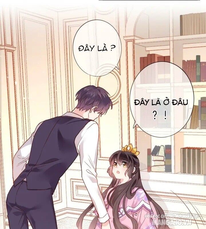 Xuyên Hành Thế Giới Chi Hoa Chapter 3 - Trang 2