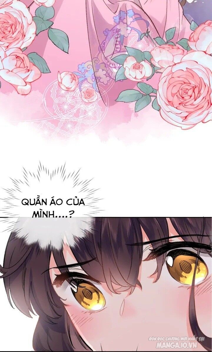 Xuyên Hành Thế Giới Chi Hoa Chapter 3 - Trang 2