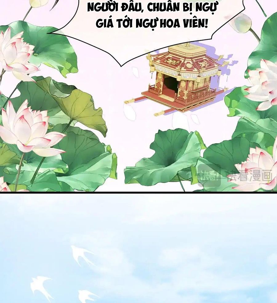 Xuyên Không Rồi, Cần Quái Gì Thể Thống Chapter 7 - Trang 2