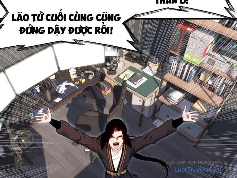 Xuyên Không Thành Ma Tôn Pháo Hôi? Nhưng Ta Là Streamer Công Lược Chapter 14 - Trang 2