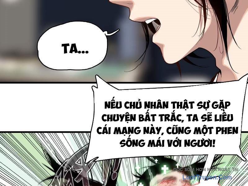 Xuyên Không Thành Ma Tôn Pháo Hôi? Nhưng Ta Là Streamer Công Lược Chapter 14 - Trang 2