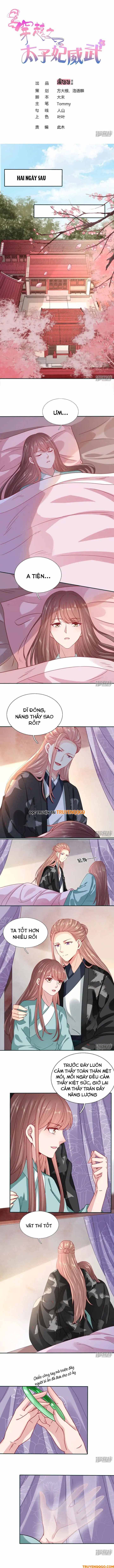 Xuyên Không Trở Thành Thái Tử Phi Uy Vũ Chapter 105 - Trang 2