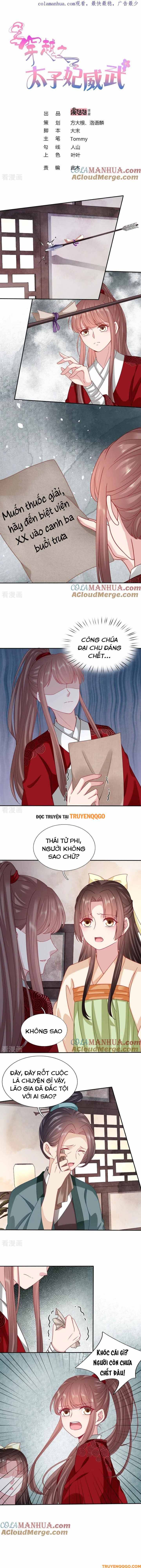 Xuyên Không Trở Thành Thái Tử Phi Uy Vũ Chapter 112 - Trang 2