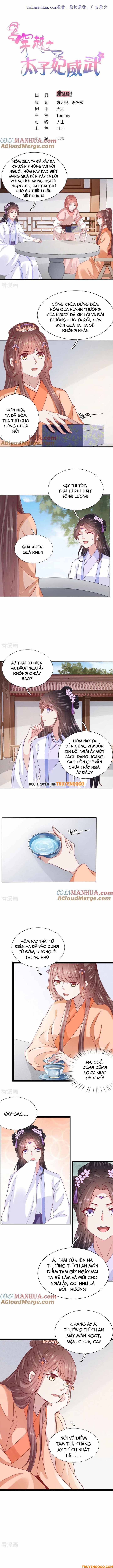 Xuyên Không Trở Thành Thái Tử Phi Uy Vũ Chapter 74 - Trang 2