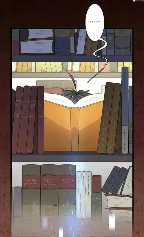 Xuyên Không Vào Thế Giới Nữ Cường Chapter 3 - Trang 2