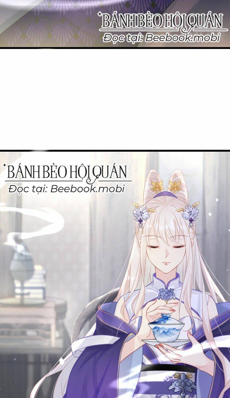 Xuyên Nhanh: Ký Chủ Cô Ấy Một Lòng Muốn Chết Chapter 4 - Trang 2