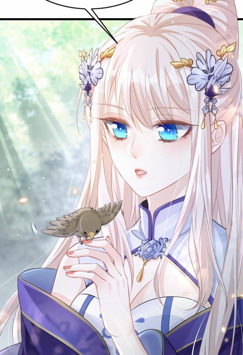 Xuyên Nhanh: Ký Chủ Cô Ấy Một Lòng Muốn Chết Chapter 6 - Trang 2