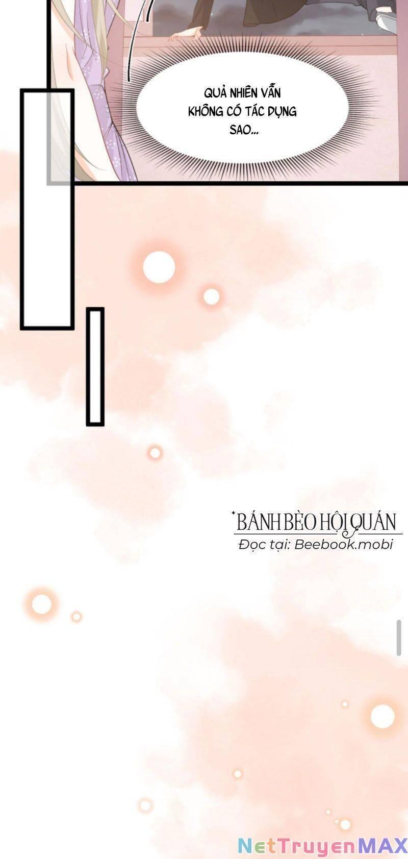 Xuyên Nhanh: Phản Diện Quá Sủng Quá Mê Người Chapter 25 - Trang 2