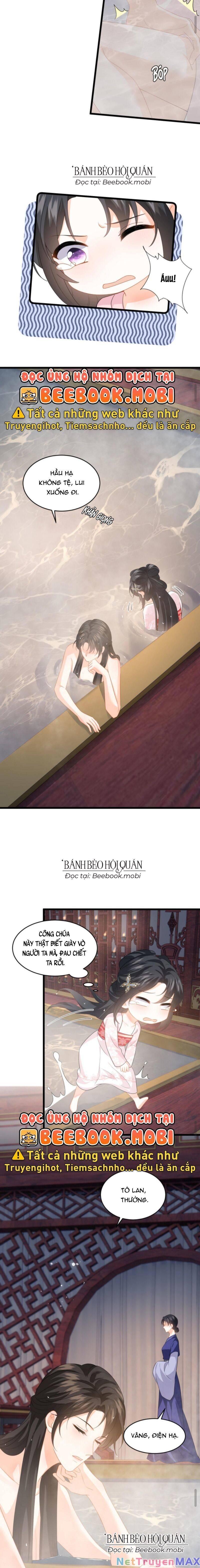 Xuyên Nhanh: Phản Diện Quá Sủng Quá Mê Người Chapter 62 - Trang 2