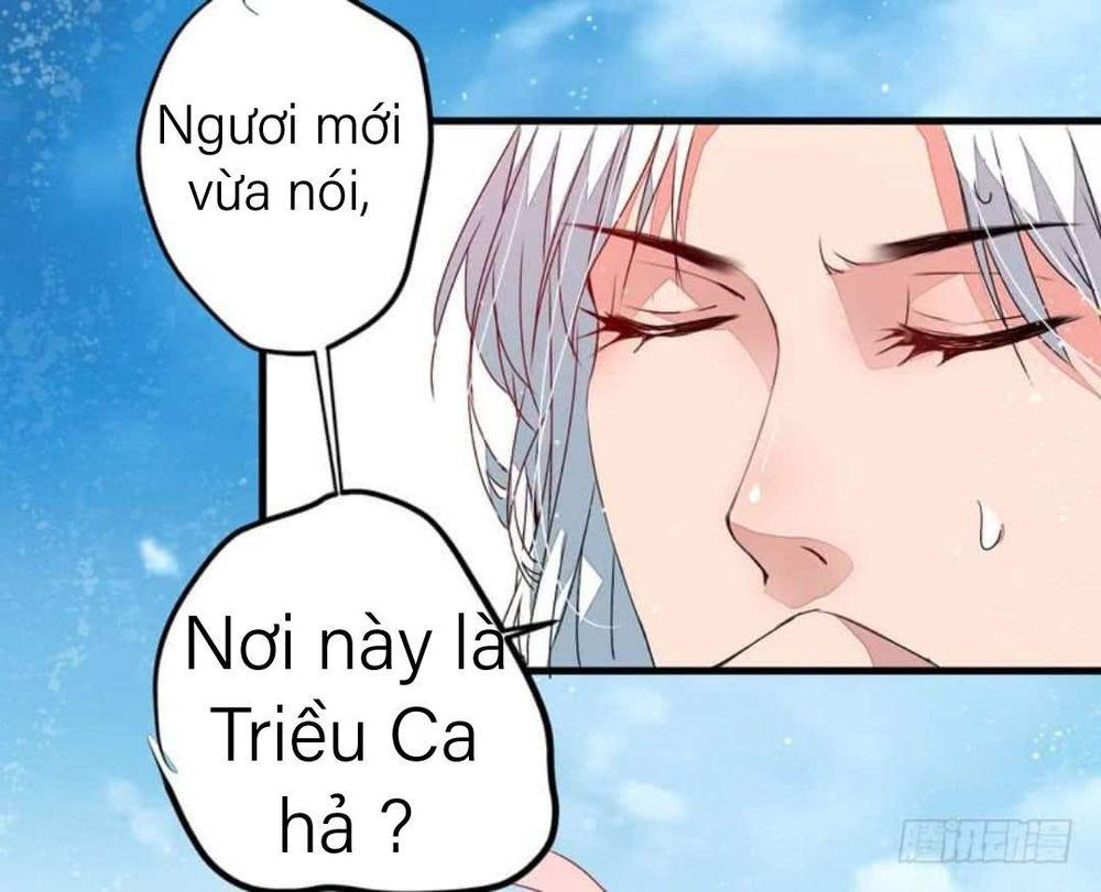 Xuyên Qua Cứu Mỹ Nam Ở Thế Giới Phong Thần Chapter 11 - Trang 2