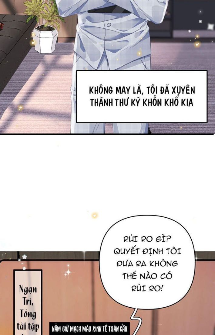 Xuyên Thành Bí Thư Khổ Bức Trong Truyện Bá Tổng Chapter 1 - Trang 2