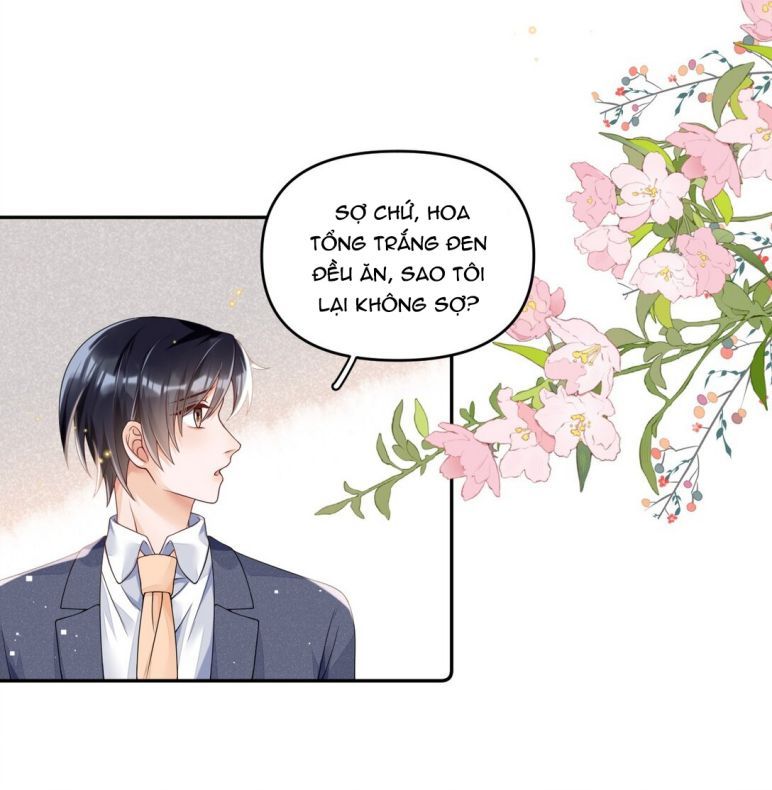 Xuyên Thành Bí Thư Khổ Bức Trong Truyện Bá Tổng Chapter 13 - Trang 2