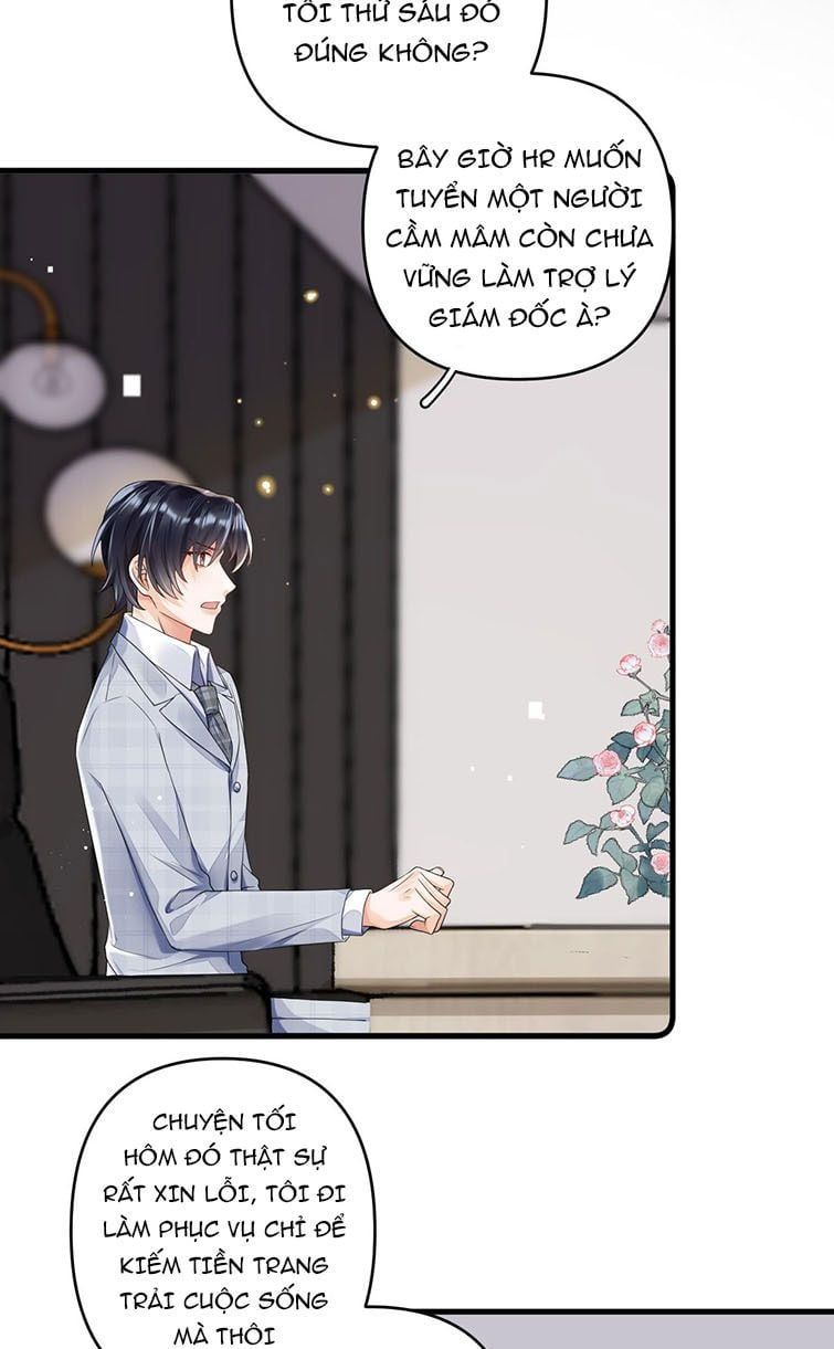 Xuyên Thành Bí Thư Khổ Bức Trong Truyện Bá Tổng Chapter 3 - Trang 2