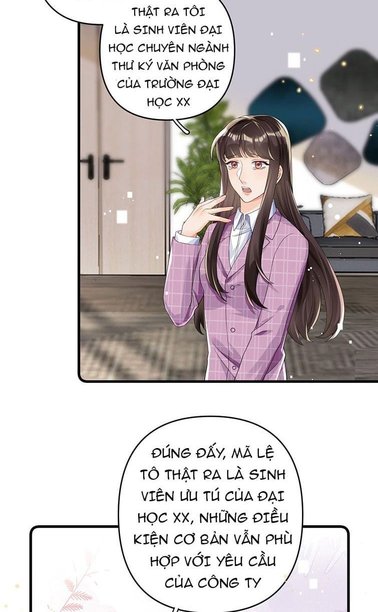 Xuyên Thành Bí Thư Khổ Bức Trong Truyện Bá Tổng Chapter 3 - Trang 2