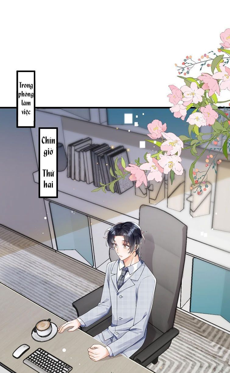 Xuyên Thành Bí Thư Khổ Bức Trong Truyện Bá Tổng Chapter 3 - Trang 2