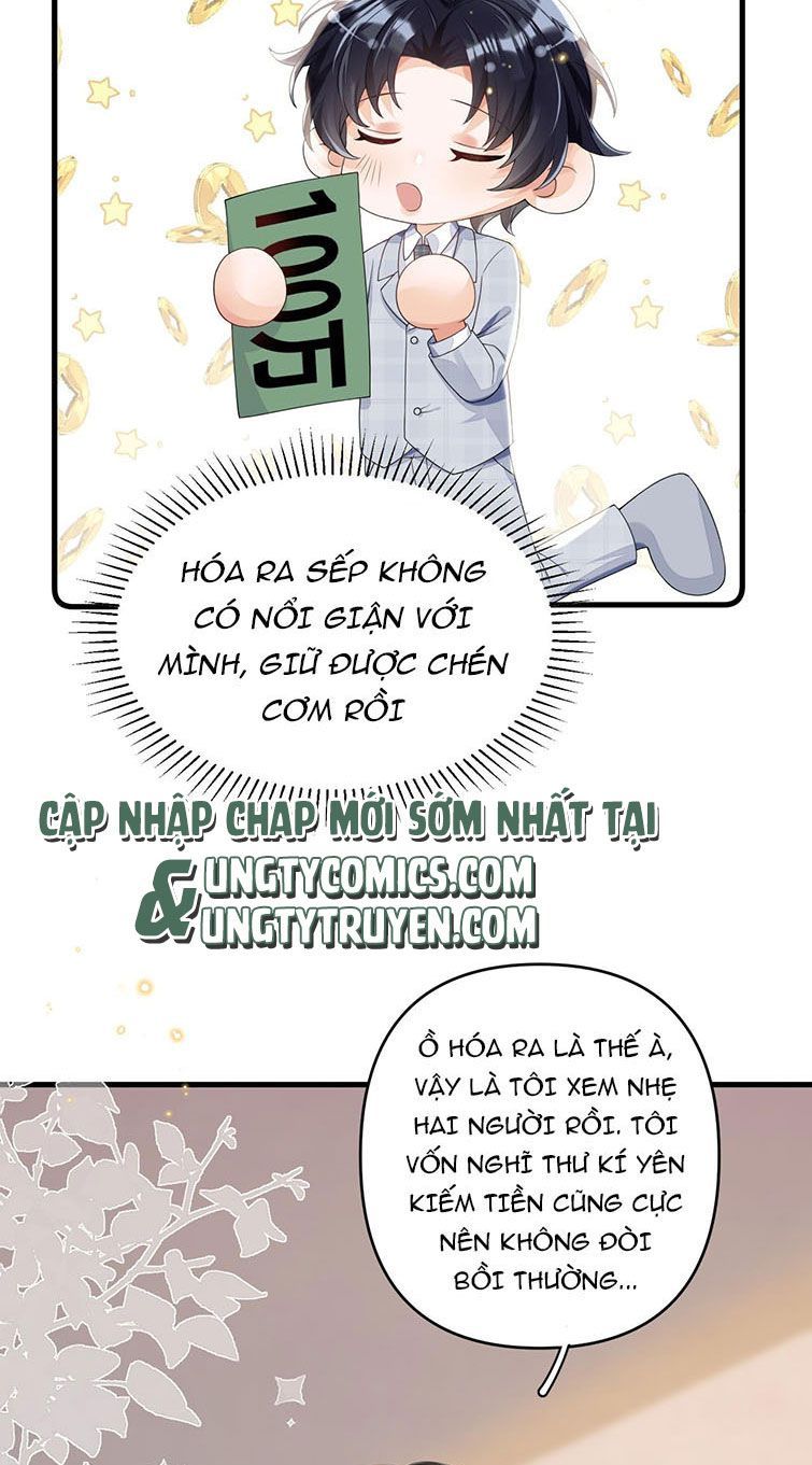 Xuyên Thành Bí Thư Khổ Bức Trong Truyện Bá Tổng Chapter 3 - Trang 2