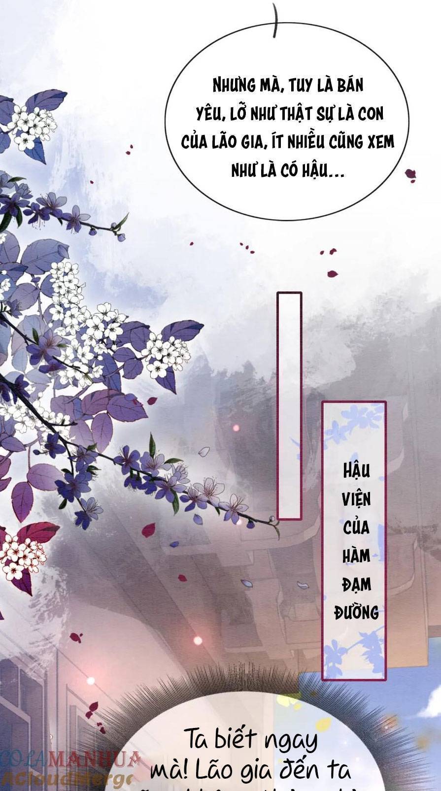 “Xuyên Thư” Sổ Tay Công Lược Hắc Liên Hoa Chapter 138 - Trang 2