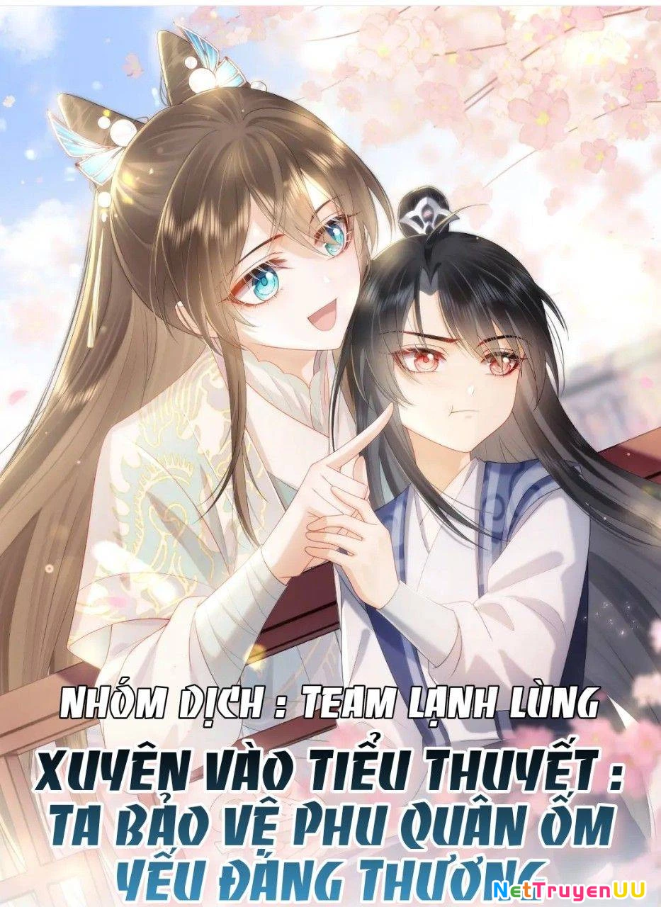 Xuyên Vào Tiểu Thuyết: Ta Bảo Vệ Phu Quân Ốm Yếu Đáng Thương Chapter 2 - Trang 2