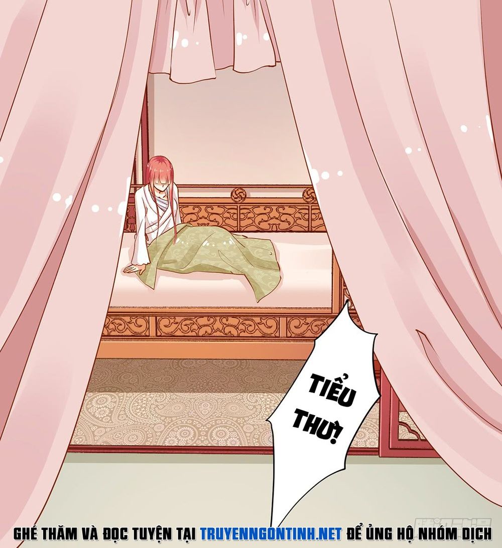 Xuyên Việt Vương Phi Yếu Thăng Cấp Chapter 5 - Trang 2