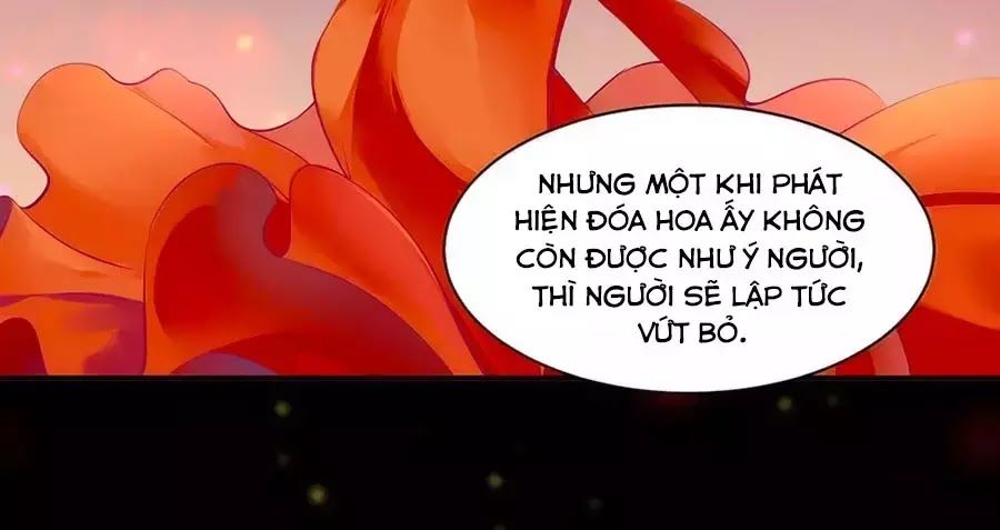Xuyên Việt Vương Phi Yếu Thăng Cấp Chapter 87 - Trang 2