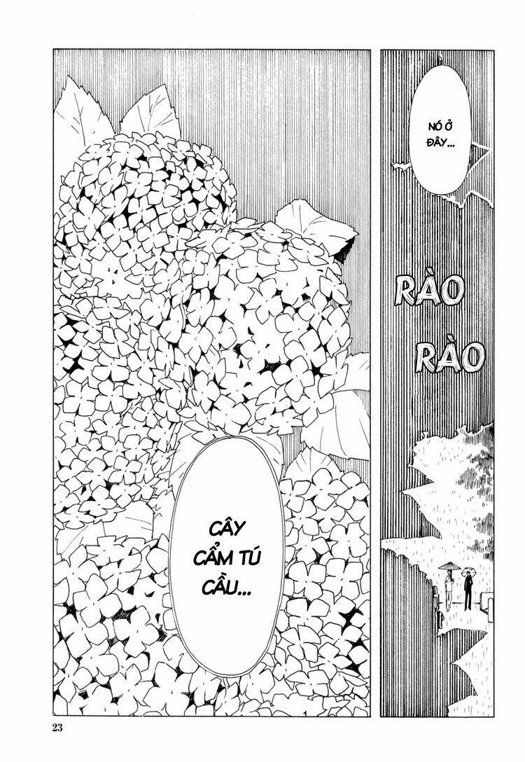 Xxxholic Chapter 29 - Trang 2