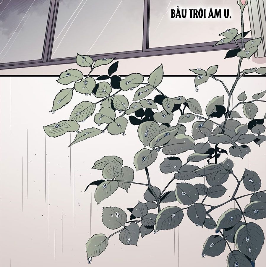 Yeonwoo’S Innocence Chapter 1 - Trang 2