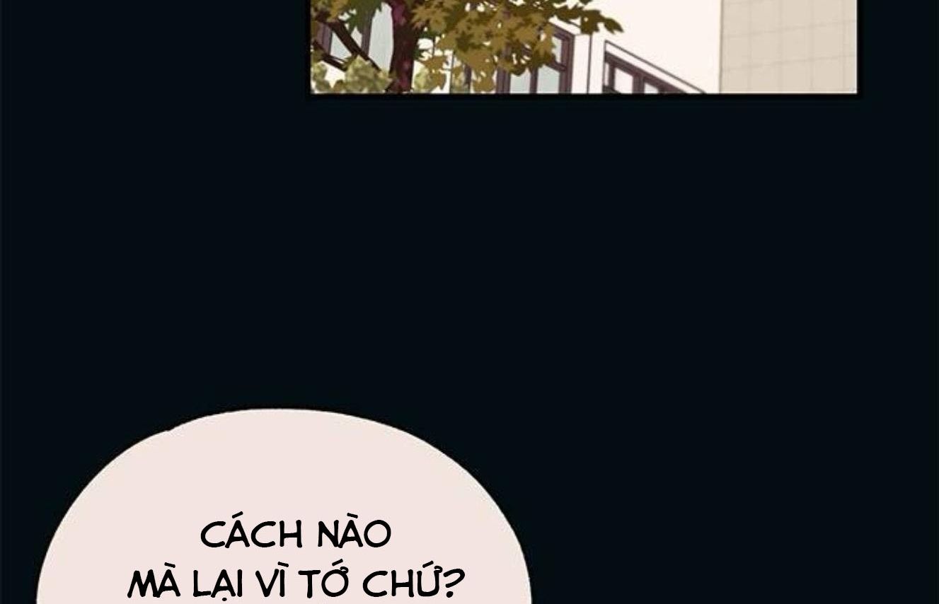 Yeonwoo’S Innocence Chapter 140 - Trang 2
