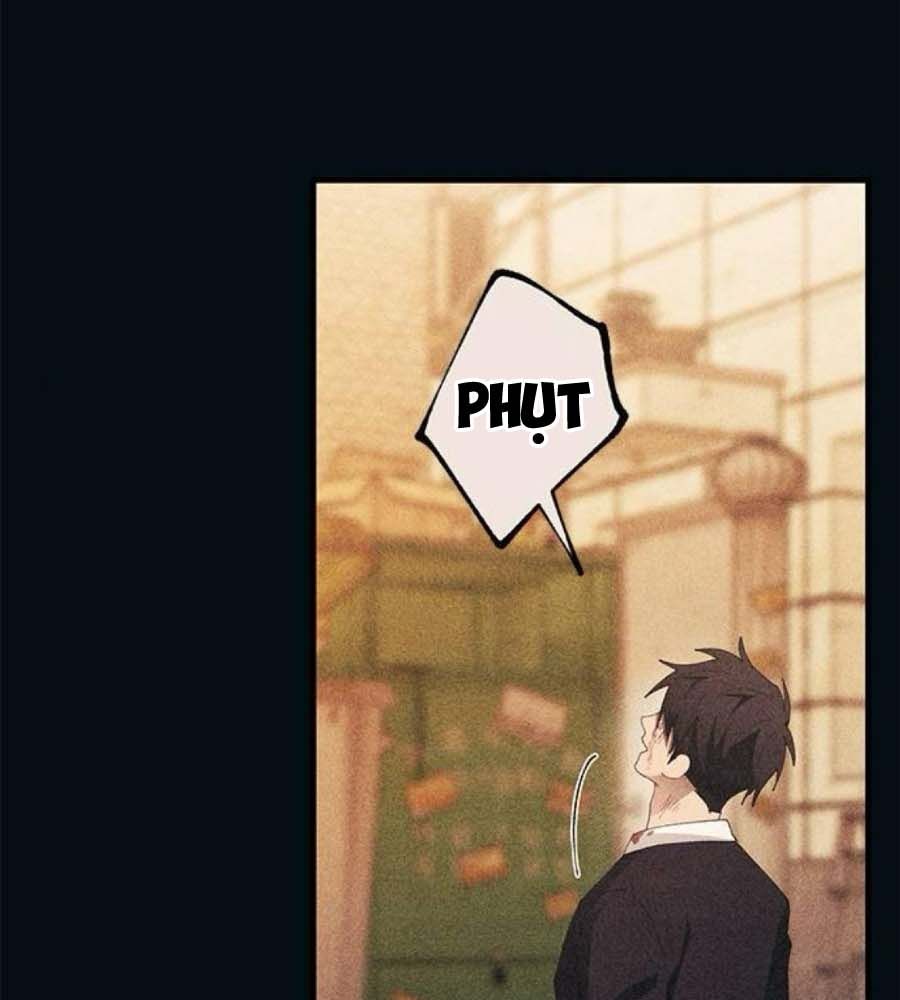 Yeonwoo’S Innocence Chapter 144 - Trang 2