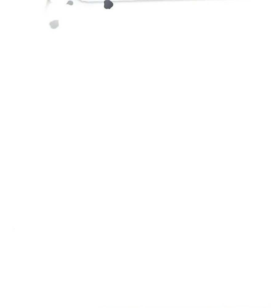 Yeonwoo’S Innocence Chapter 152 - Trang 2