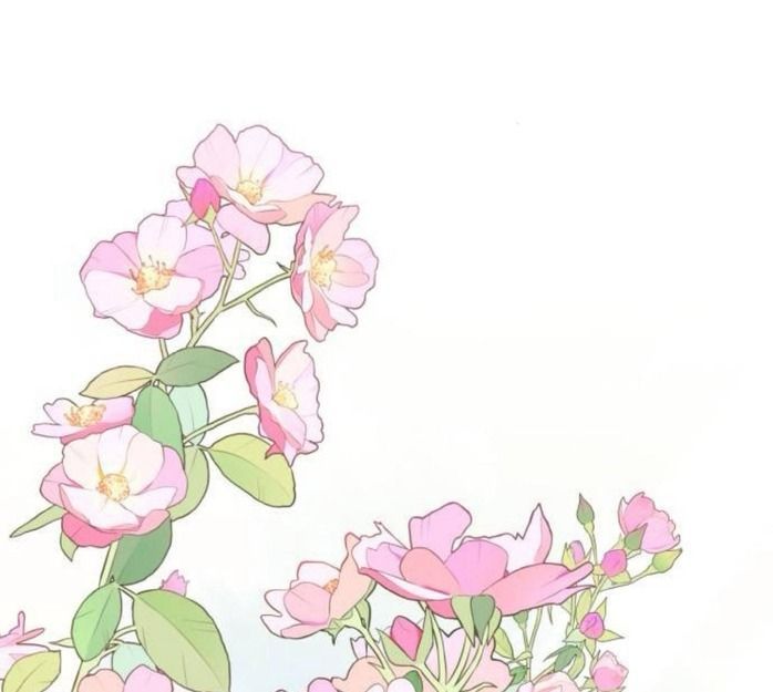 Yeonwoo’S Innocence Chapter 156 - Trang 2