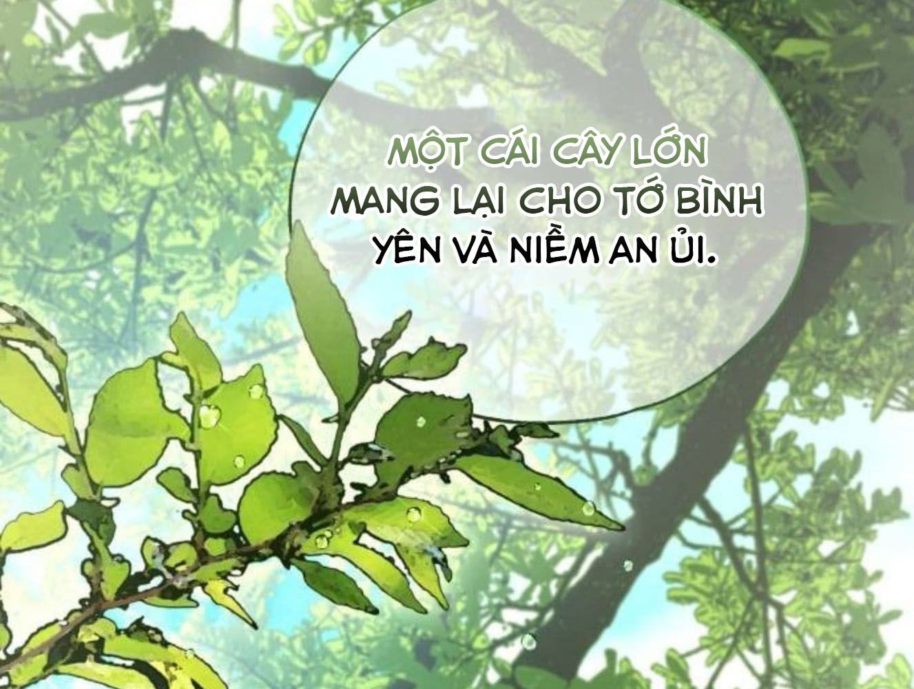 Yeonwoo’S Innocence Chapter 181 - Trang 2